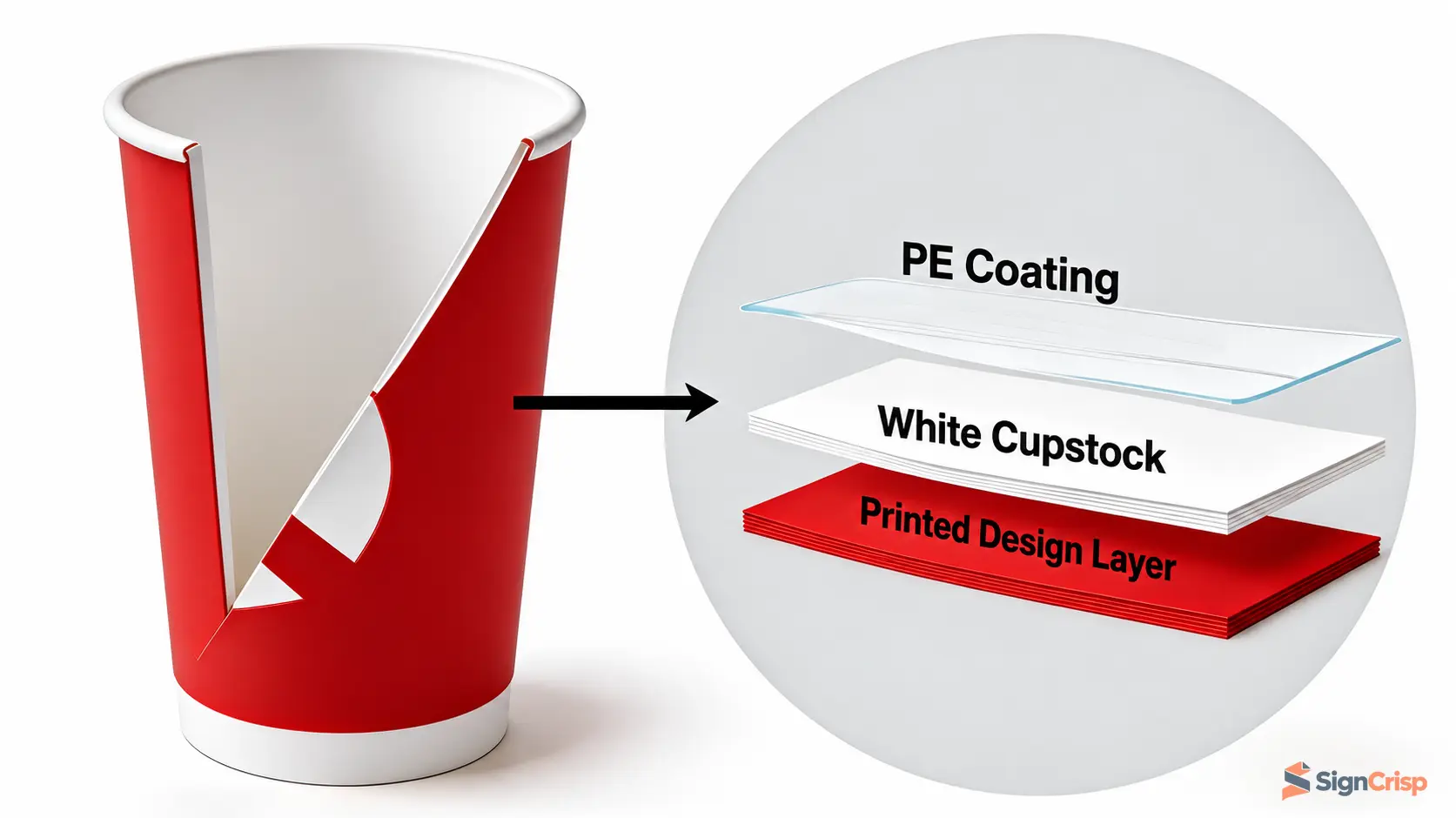 Single PE-coated paper cup cross-section with English layer labels.
